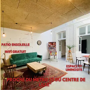 Oasis Urbaine - Spacieux Et Calme Avec Patio , Lille France